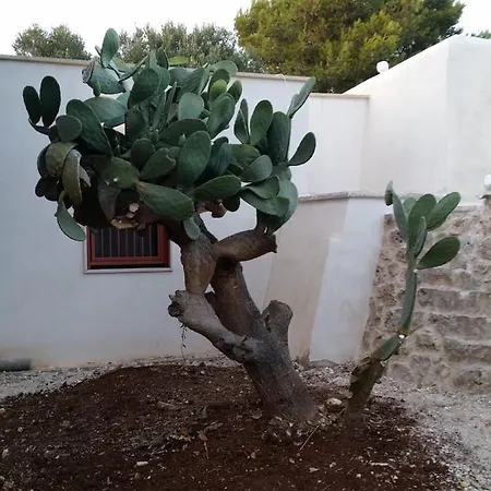 Trullo Sotto Le Stelle *